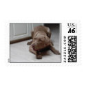 PuppyDawg postage by dragonfire097 PuppyDawg postage