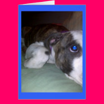 puppydog day dreams cards