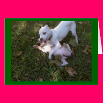 puppydog tale of two bitches cards