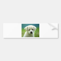 PuppyLove Bumper Sticker