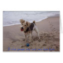 PuppyLove, Il n'est jamais trop tard pour bien ... cards
