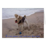 PuppyLove, Il n'est jamais trop tard pour bien ... cards