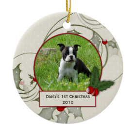 Puppy's 1st Christmas Ornament