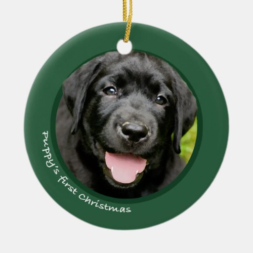 puppy s first christmas labrador retriever ornament zazzle puppy s first christmas labrador retriever ornament zazzle