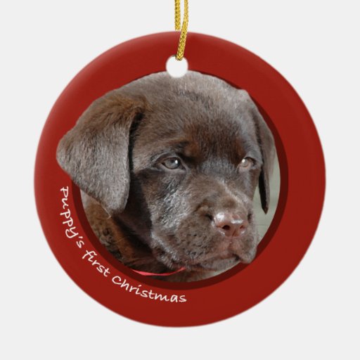 puppy s first christmas labrador retriever christmas puppy s first christmas labrador retriever christmas