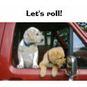 pups_2006_197, Let's roll! t-shirts