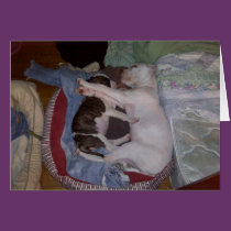 pups at rest cards