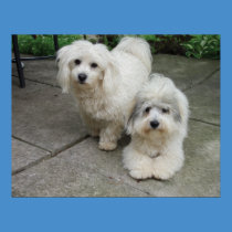 Pups in Oil posters