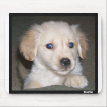 Pupy eyes mousepads