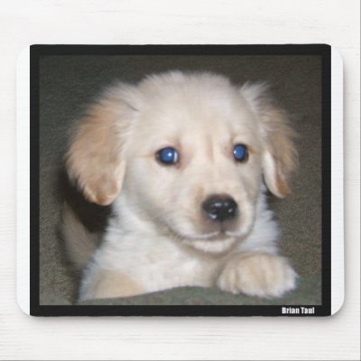 Pupy eyes mouse pad by milkey_way