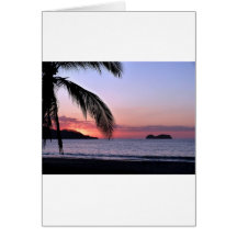 Pura Vida! Card