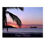 Pura Vida! Postcard