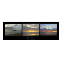 Pura Vida posters