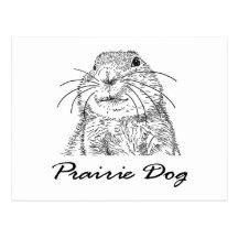 purairie dog face postcard