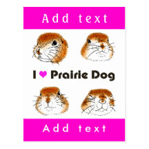 purairie dog post card