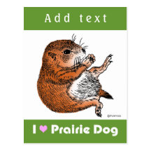 purairie dog post card
