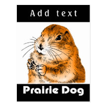 purairie dog post card