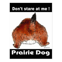 purairie dog post cards