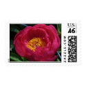 Pure and simple postage by Mother02 Pure and simple postage