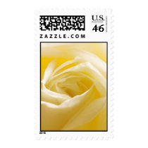 Pure and White stamps