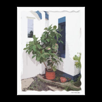 Pure Art canvas prints