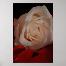 Pure Beauty Poster