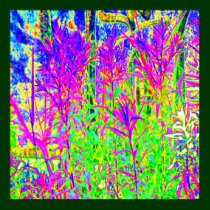 Pure Heart Collection - Dream Stream posters by doonagiri Pure Heart Collection - Dream Stream posters