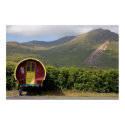 Pure Ireland posters