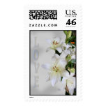 Pure love  postage stamps