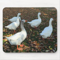 mousepad, geese, goose, duck, nature, farm, education, school, computer, Mouse pad with custom graphic design