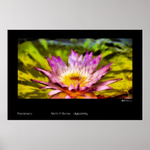 Pure one beauty print