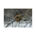Pure serenity posters by DukeJohnson Pure serenity posters