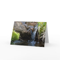 Pure water creek cards