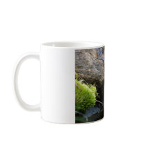 Pure water creek mugs