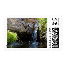 Pure water creek stamps