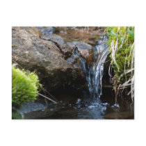 Pure water creek postcards