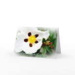 Pure White & Bright Blossom flower Greeting Card