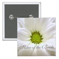 pure white daisy flower wedding pinback button