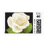 Pure White Rose Postage Stamps