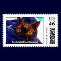 Purebred Cat Rescue Stamp by LindaMercer Purebred Cat Rescue Stamp