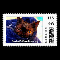 Purebred Cat Rescue Stamp