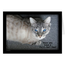 Purfect Romeo - Perfect Day Greeting Card
