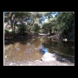 Purgatory Creek Postcard postcards