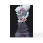 Purity Greeting Cards