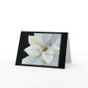 Purity cards by erin_kathleen Purity cards