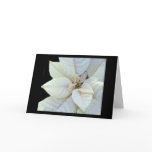 Purity Greeting Cards