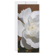 Purity Of Mind rack cards by laureenr Purity Of Mind rack cards