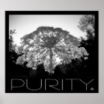 Purity Poster
