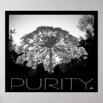Purity Poster