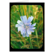 Purple 2 cards by angelandspot Purple 2 cards